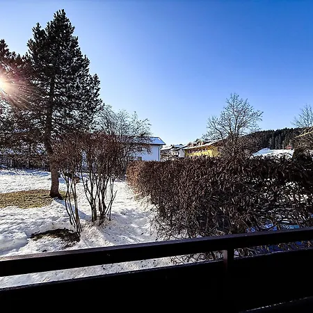Staufenhirsch * Oberstaufen