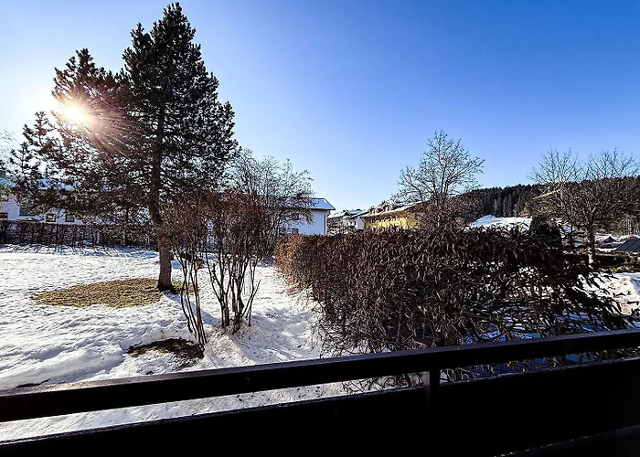 Staufenhirsch * Oberstaufen